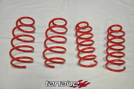TANABE & REVEL RACING PRODUCTS - Tanabe NF210 Lowering Springs 14-14 Mazda Mazda 6 (Skyactiv)