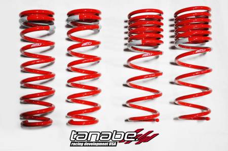 TANABE & REVEL RACING PRODUCTS - Tanabe DF210 Lowering Springs 92-95 Honda Del Sol