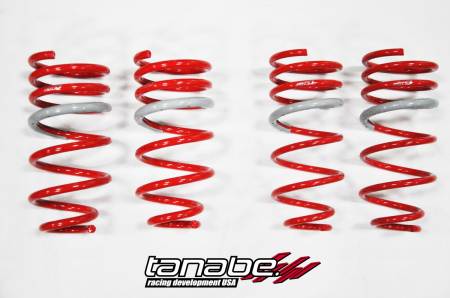 TANABE & REVEL RACING PRODUCTS - Tanabe DF210 Lowering Springs 95-99 Eagle Talon