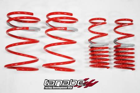 TANABE & REVEL RACING PRODUCTS - Tanabe DF210 Lowering Springs 02-04 Acura RSX Non Type S (DC5)