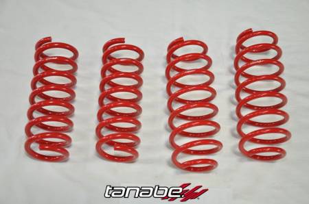 TANABE & REVEL RACING PRODUCTS - Tanabe NF210 Lowering Springs for 14-14 Infiniti Q50 Sedan (RWD)