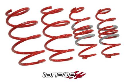 TANABE & REVEL RACING PRODUCTS - Tanabe DF210 Lowering Springs 10-13 for Toyota Prius