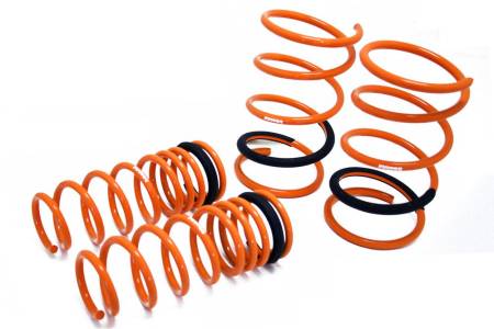 Megan Racing - Megan Lowering Springs Nissan Maxima 00-03