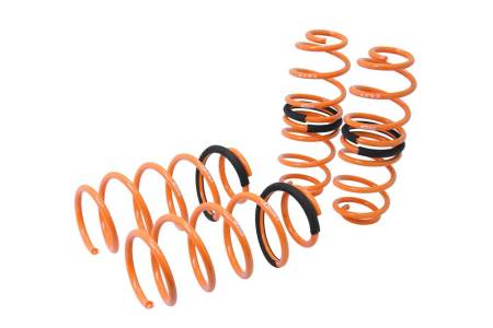 Megan Racing - Megan Lowering Springs Ford Fiesta 11-16 (EXC ST Model)