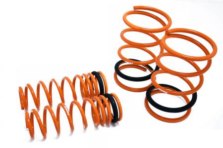 Megan Racing - Megan Lowering Springs Mitsubishi Lancer Evolution X 08+