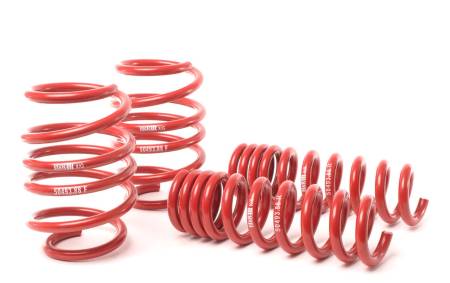 H&R - H&R 08-13 BMW M3 Coupe/M3 Sedan E92 Race Spring