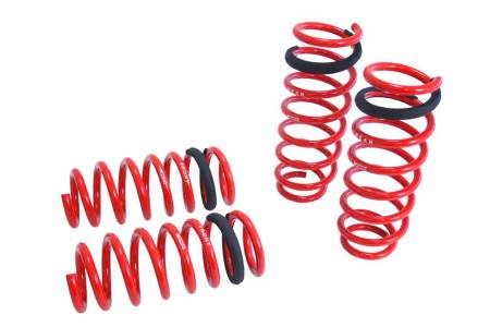 Megan Racing - Megan Lowering Springs BMW F10 5 Series 2011+