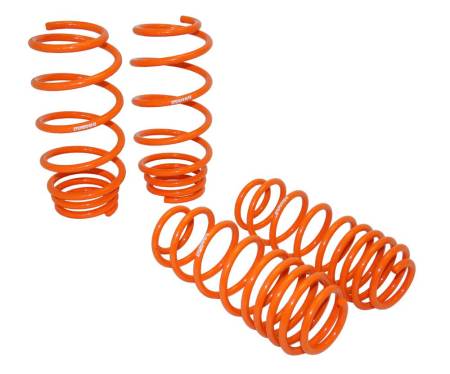 Megan Racing - Megan Lowering Springs Honda FIT 09-14