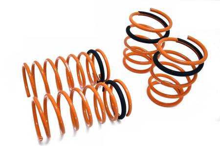 Megan Racing - Megan Lowering Springs Ford ZX2/ESCORT 97-02