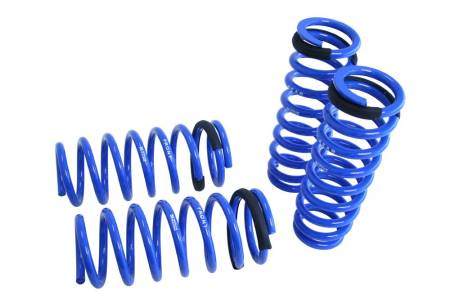 Megan Racing - Megan Lowering Springs Lexus GS350 2013+ RWD Only