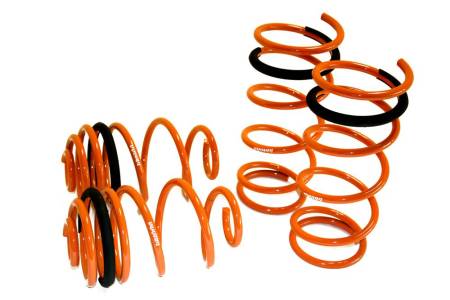 Megan Racing - Megan Lowering Springs Nissan VERSA 06-12 5 DR Hatch ONLY/Cube 09+