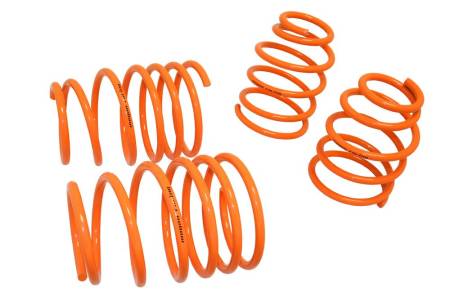 Megan Racing - Megan Lowering Springs Dodge Neon 95-99