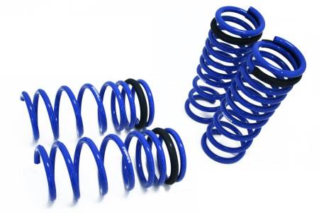 Megan Racing - Megan Lowering Springs Lexus IS250/350 06-13