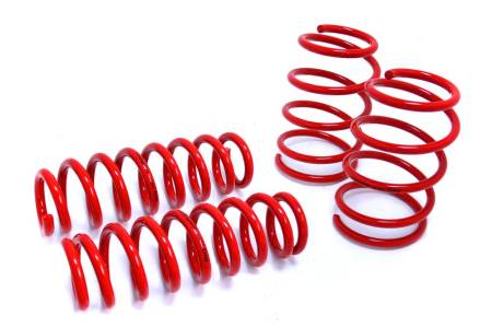 Megan Racing - Megan Lowering Springs BMW 06-11 E90 4DR