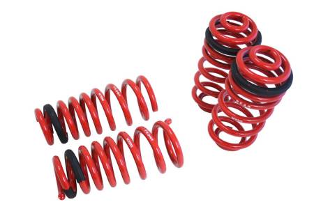 Megan Racing - Megan Lowering Springs BMW X5 w/o self-leveling 07-13