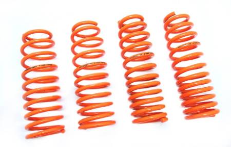 Megan Racing - Megan Lowering Springs Acura TSX 04-08/Honda Accord 03-07