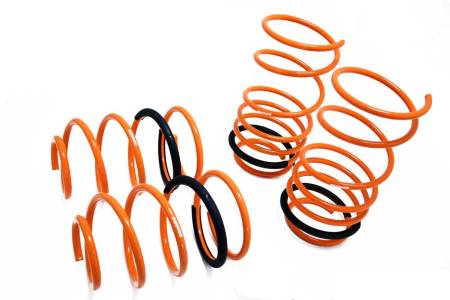 Megan Racing - Megan Lowering Springs Ford ESCORT 97-02 / ZX2