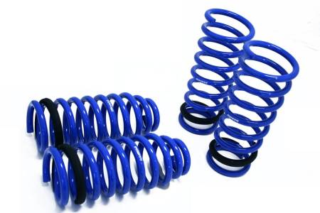 Megan Racing - Megan Lowering Springs Lexus GS400/430 98-05