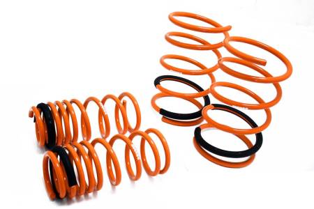 Megan Racing - Megan Lowering Springs Honda Civic 02+ Si