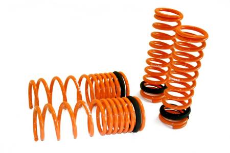 Megan Racing - Megan Lowering Springs Honda 88-91 Civic