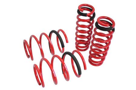 Megan Racing - Megan Lowering Springs BMW E82 1 Series Coupe 08+