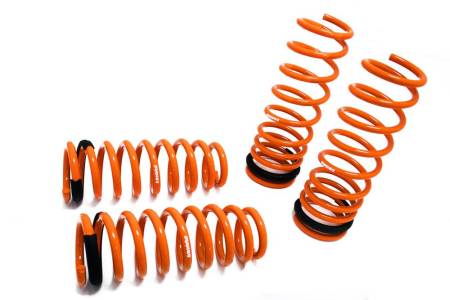 Megan Racing - Megan Lowering Springs Acura TL 04-08