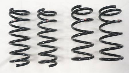 RS-R USA - RS-R Down Sus Lowering Springs Nissan 350Z 2003 to 2009 - Z33