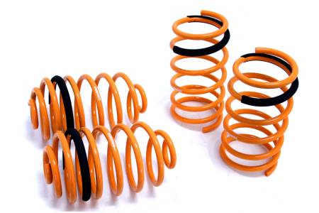 Megan Racing - Megan Lowering Springs 03-07 Saturn Ion