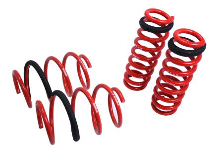 Megan Racing - Megan Racing Lowering Springs BMW 3-Series F30 12-18 F30 RWD/AWD (EXC M3)