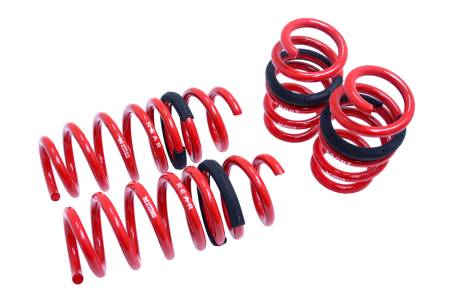 Megan Racing - Megan Lowering Springs Audi R8 08-15 Coupe/ Convertible