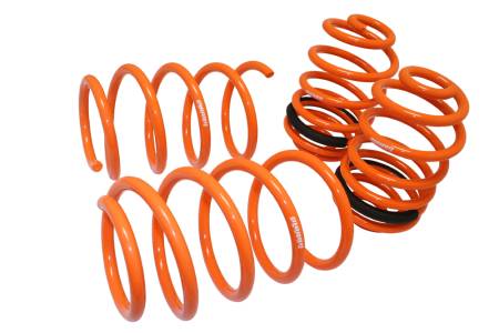 Megan Racing - Megan Lowering Springs Chevrolet Cobalt 05-10