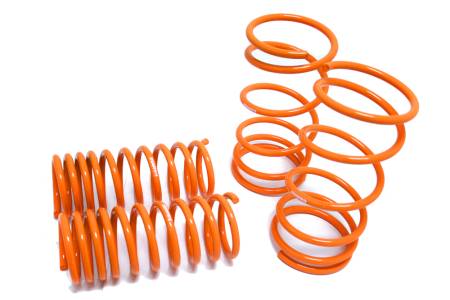 Megan Racing - Megan Lowering Springs Ford Focus 99-04