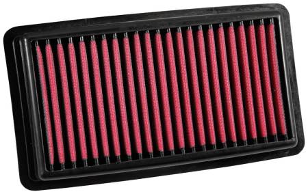 AEM Induction - AEM 16-17 Honda Pilot V6-3.5L F/l DryFlow Air Filter