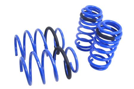 Megan Racing - Megan Lowering Springs Lexus CT200H 2011+