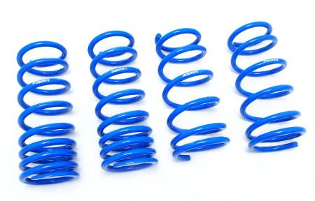 Megan Racing - Megan Lowering Springs Lexus GS300/350/430 06-11