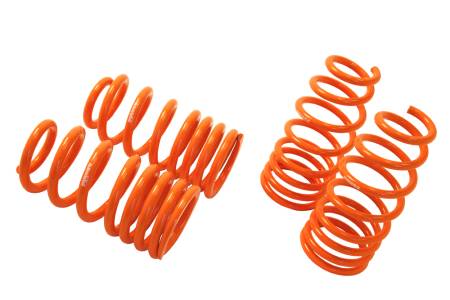 Megan Racing - Megan Lowering Springs Toyota Supra 93-98