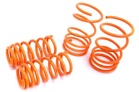 Megan Racing - Megan Lowering Springs Honda Element 03+