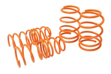 Megan Racing - Megan Lowering Springs Hyundai Accent/Kia Rio 06-10