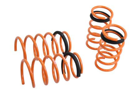 Megan Racing - Megan Lowering Springs Scion FRS/Subaru BRZ 13+