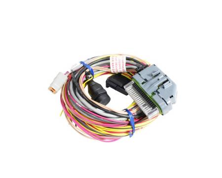 AEM Electronics - AEM AQ-1 96in Flying Lead Wiring Harness