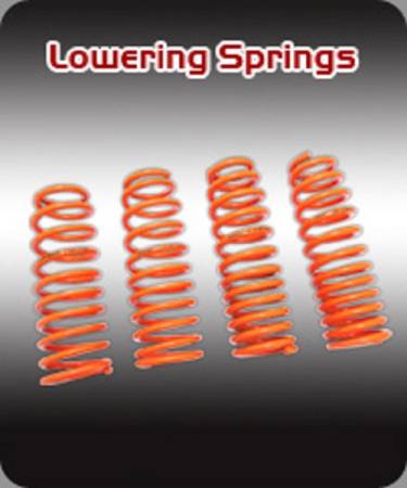 Megan Racing - Megan Lowering Springs Ford Mustang 87-93