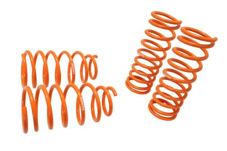 Megan Racing - Megan Lowering Springs KIA Rio 00-05