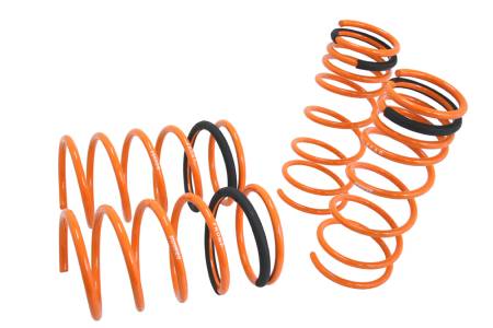 Megan Racing - Megan Lowering Springs Mazda Protege 99-03