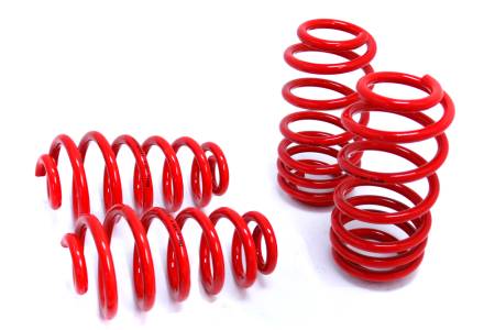 Megan Racing - Megan Lowering Springs Audi A4 02-06 FWD