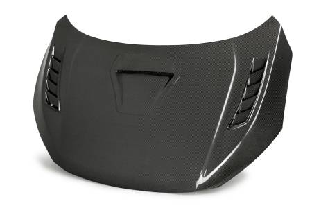 Seibon Carbon - Seibon 17-20 Honda Civic Type-R (FK8) TSII Style Carbon Fiber Hood