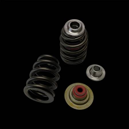 Brian Crower - Brian Crower Can-Am X3 Rotax 900 Ace Beehive Spring/Steel Retainer/Seat w/ Seal Kit