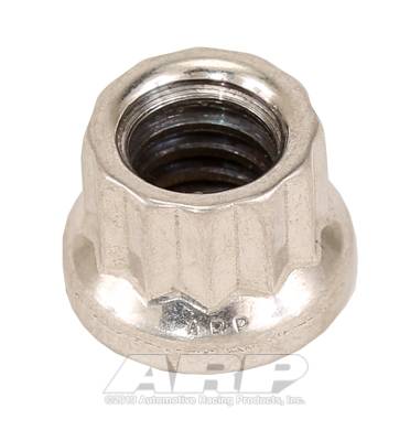 ARP - ARP 1/4-20 SS 12pt nut kit 401-8300