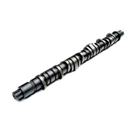 BLOX Racing - BLOX Racing 96-00 D-Series Camshaft Stage 1 IN .405in Lift / Ex .383in Lift Upgr. Valvetrain Req.