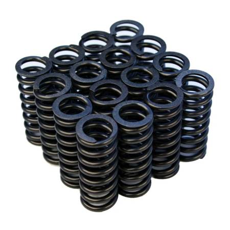 BLOX Racing - BLOX Racing Valve Springs for D-series SOHC VTEC D16Z-Y (1.6L SOHC VTEC)