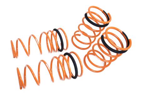 Megan Racing - Megan Lowering Springs Toyota Corolla 98-02